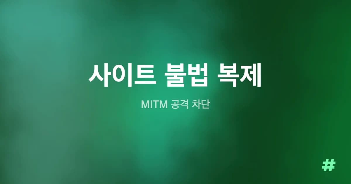 사이트 불법 복제 MITM 공격 차단
