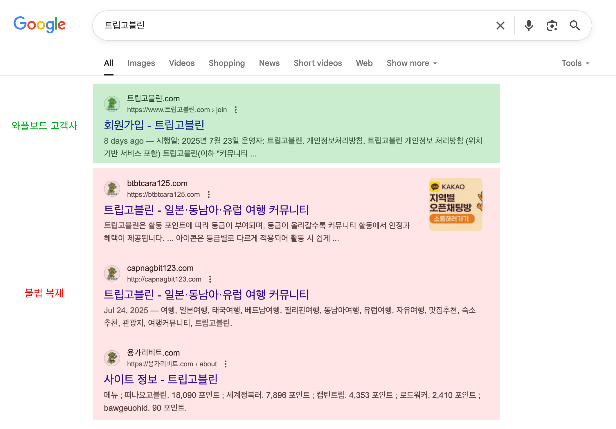사이트 불법 복제 MITM 공격 차단